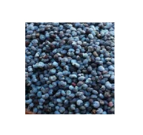 blue poppy seeds 12x100gr
